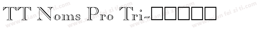 TT Noms Pro Tri字体转换